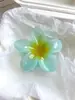 Pinza de garra de frangipani de origen transfronterizo, colorida degradada, moda para mujer, vacaciones, súper ventas, para la parte posterior de la cabeza, recogido, pinza de tiburón, accesorios para el cabello