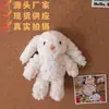 Celebridade da Internet Coelho de Orelha Longa Coelho Bonnie Pingente de Coelho Coelho de Pelúcia Orelha-Orelha Boneca 18cm Bolsa de Boneca Pingente Chaveiro