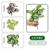 Parede de Plantas Artificiais, Plantas Verdes, Arranjos de Flores Artificiais, Flores Decorativas de Plástico, Plantas Verdes Simuladas, Grama Artificial Persa, Alta Simulação