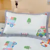 Funda de almohada infantil de seda de hielo de dibujos animados clase A individual 30X50 Verano 2026 Nuevo modelo Refrigerante Funda para núcleo de almohada de seda de hielo