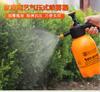 Regadera neumática para jardinería doméstica, pequeña regadera a presión, regadera para regar flores, regadera con pulverizador.