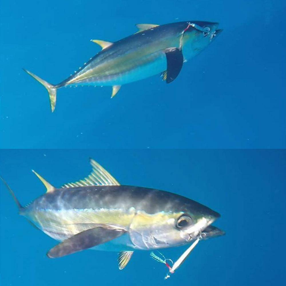 fast-jigs20.jpg