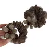 Goma para el pelo estilo coreano color café con flores para mujer, moderna y versátil, nuevo estilo 2026, para coletas, accesorio para el cabello con textura de alta gama para mujer