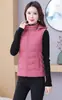 Colete Leve de Penas e Algodão para Mulheres, Estilo Curto, Nova Moda Primavera e Outono 2026, Estiloso e Versátil, Quente, Slim Fit, Colete Emagrecedor
