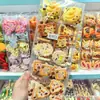 Nuevo Estilo Divertido Dibujo Animado Lingote Original Galleta Temática de Comida Pasador Creativo Original Chica Flequillo Pinza Pasador