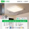 Lámpara de Techo LED para Sala de Estar Protección Ocular Estilo Italiano Nuevo Lujo Accesible Rectangular Atmosférica Lámpara de Pasillo Simple Espectro Completo 473L