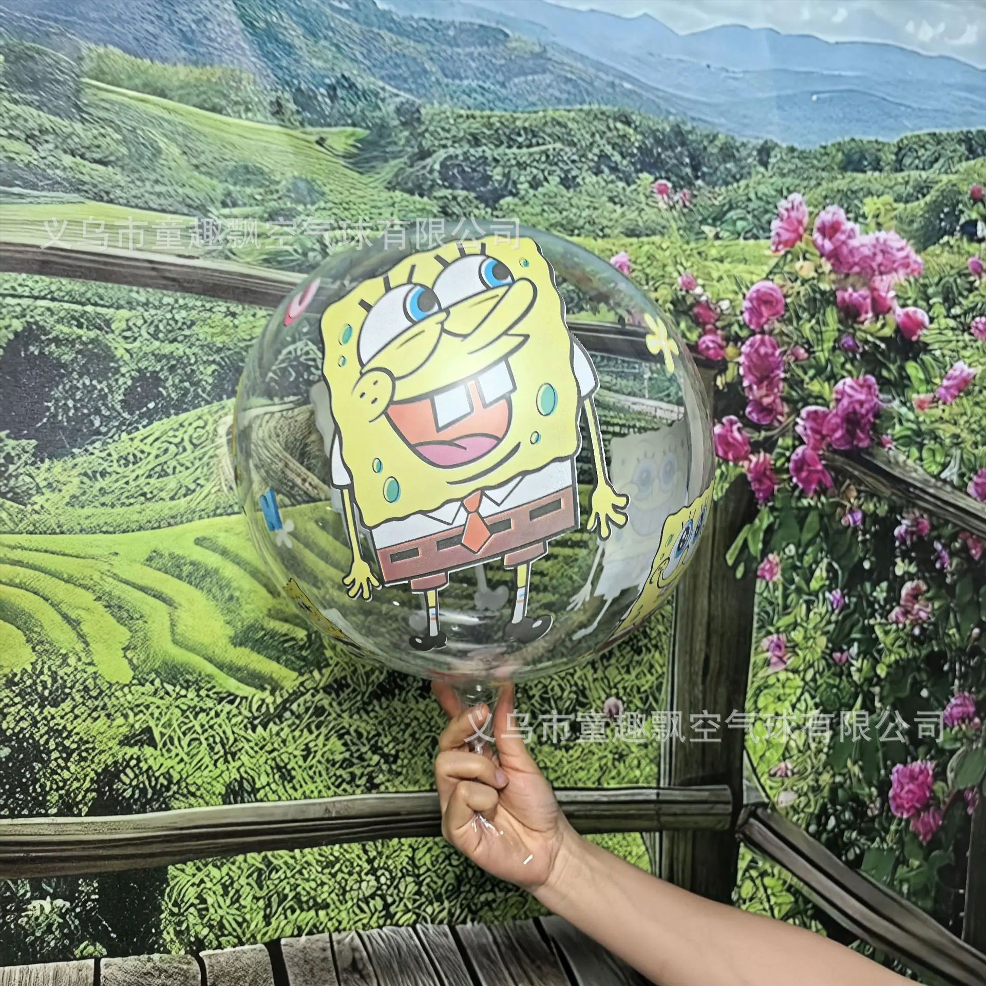 海绵宝宝
