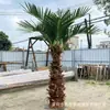 Árbol de coco artificial a gran escala, fibra de vidrio, resistente a los rayos UV, apto para uso en exteriores e interiores, ideal para hoteles, centros comerciales y diseño de paisajes tropicales