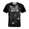 Verão Comércio Exterior Caveira Nova Tendência Masculina Agressiva Manga Curta Camiseta 3D Estilo Quente Tamanho Grande Camiseta Manga Curta Transfronteiriço