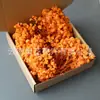 Flores eternas de Gipsófila, flores secas, flores reales, materiales para manualidades, regalos de Navidad y San Valentín, decoraciones de boda, transfronterizo