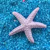 Estrellas de Mar Simuladas de Resina Decoraciones de Estrella de Mar Mediterránea Joyas para Acuario Adornos Decoración de Boda Hogar