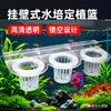 Soporte Hidropónico para Plantas de Acuario, Cesta de Plantación para Plantas Verdes, Centella Asiática, Taza de Plantación para Plantas Acuáticas, Decoración y Paisajismo para Acuarios