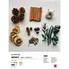 Virutas de Madera Cáscara de Nuez Material Planta Taibao Especimen Piña de Pino Paquete de Materiales de Flores Secas DIY Chen Mai Hecho a Mano Bellota Seca Marco de Fotos