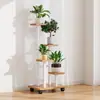 Este es un soporte para plantas/portamacetas para suculentas de varios niveles y móvil para la sala de estar y el balcón.