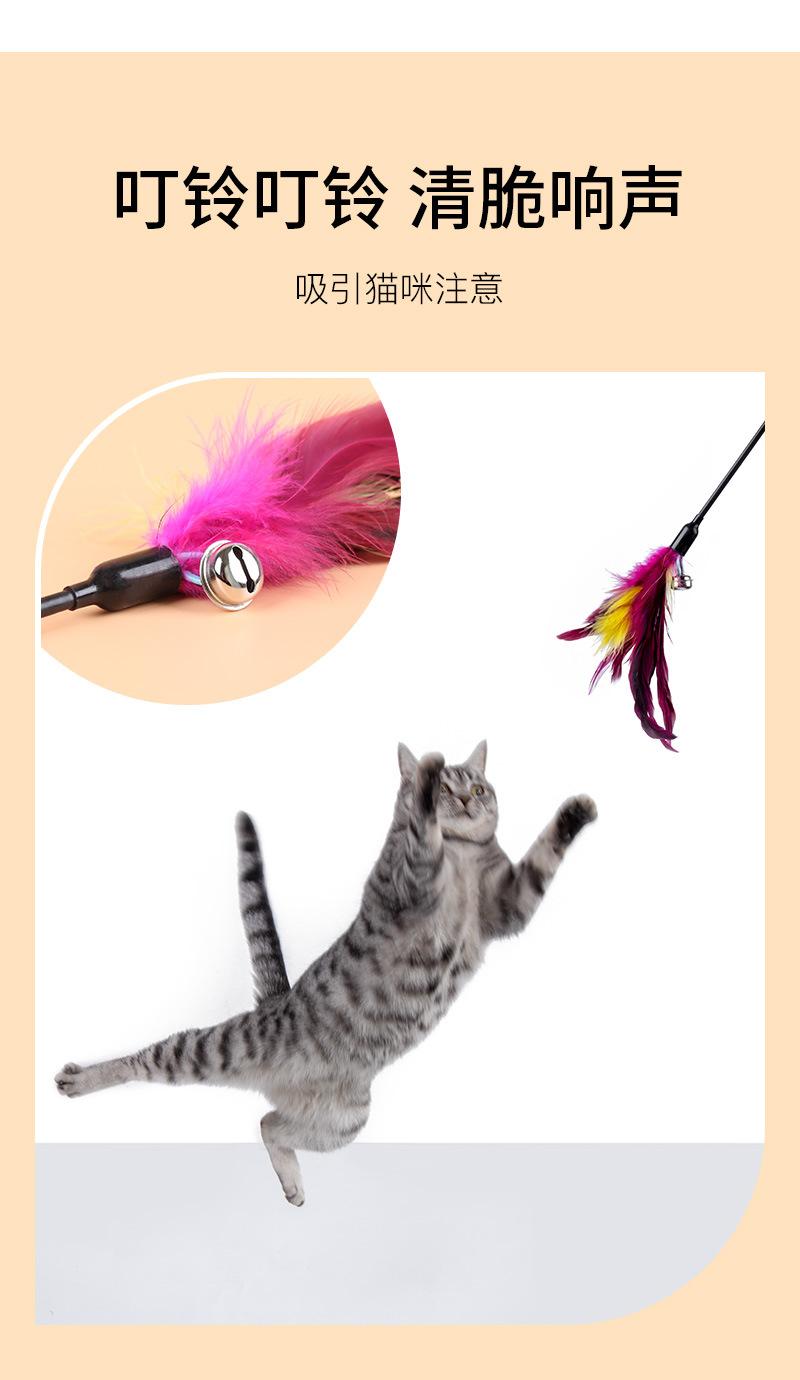 逗猫棒黑杆_04.jpg