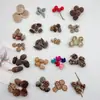 Fruta Fixa Natural Planta Fruta Casca Espécime Material Decoração Flores Secas Fatias Jardim de Infância DIY Pacote de Material de Natal