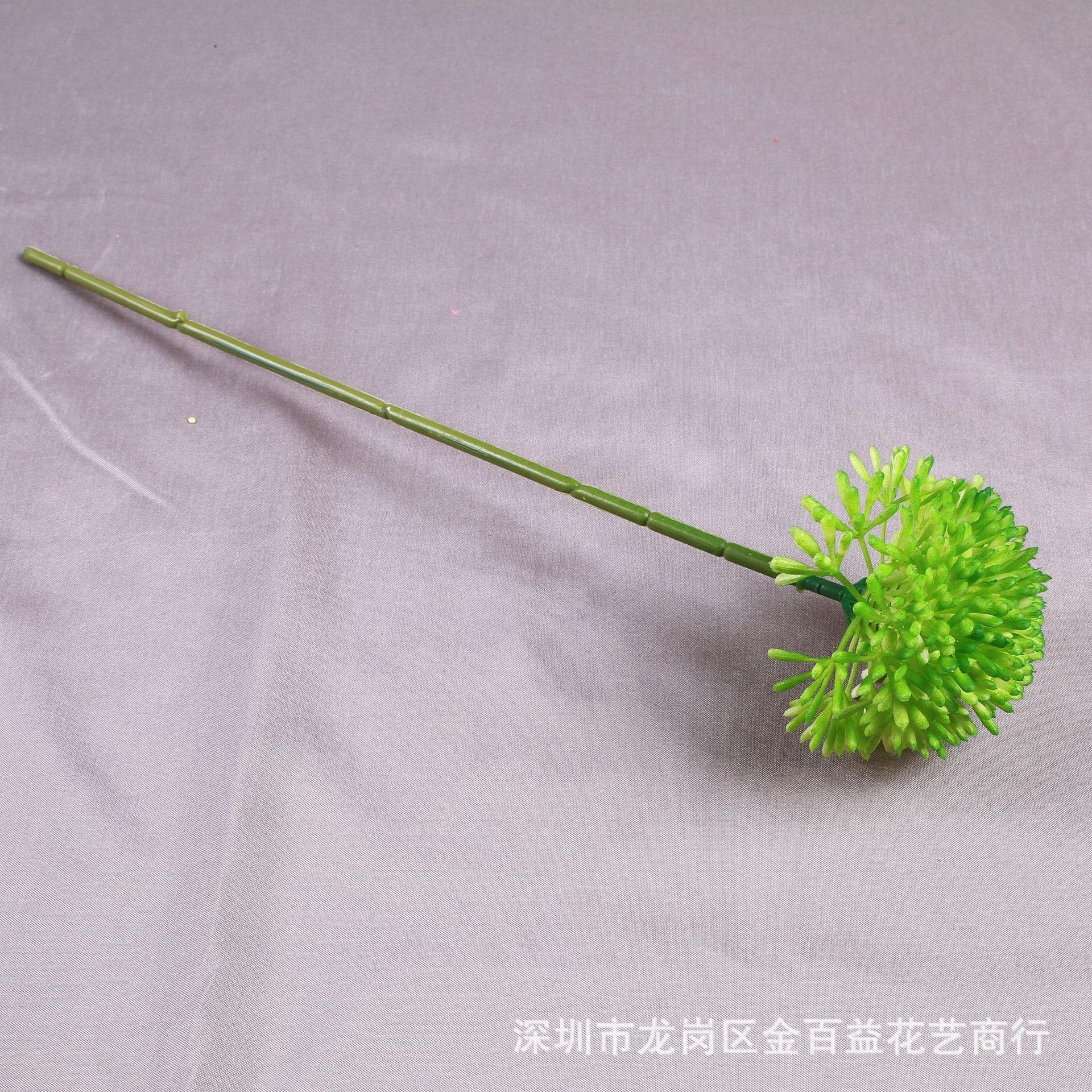 IMG_8574_副本.jpg