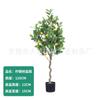Árbol del dinero, planta de simulación, árbol falso en maceta, árbol de la fortuna, tienda, decoración de sala de estar, flor falsa, flor de plástico, hojas de eucalipto