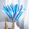 Fabricante de caña de flor seca al por mayor, caña natural personalizada, materiales florales para arreglos de boda, hierba de pampa decoración del hogar