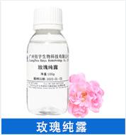 玫瑰.png
