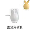Ovo de Páscoa Papoula Coelho Coelho de Orelhas Dobradas Coelho de Orelhas Retas Velas Aromáticas Caseiras Coelho Gesso Molde de Silicone