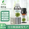 Óleo Essencial da Planta de Óleo de Estévia É Destilado e Extraído para Produzir Matérias-Primas para Produtos Químicos de Uso Diário. Óleo Essencial de Stevia Está Disponível em Estoque