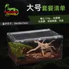 Caixa de Criação Acrílica para Répteis Répteis Animais de Estimação Cobra Geco Caracol Lagarto Sapo Chifrudo Aranha Tanque Paisagem Floresta Tropical