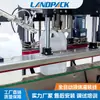 Máquina de Enchimento de Inseticidas Lander, Máquina de Enchimento de Líquidos Herbicidas e Inseticidas Totalmente Automática, Linha de Enchimento de Fertilizantes Líquidos