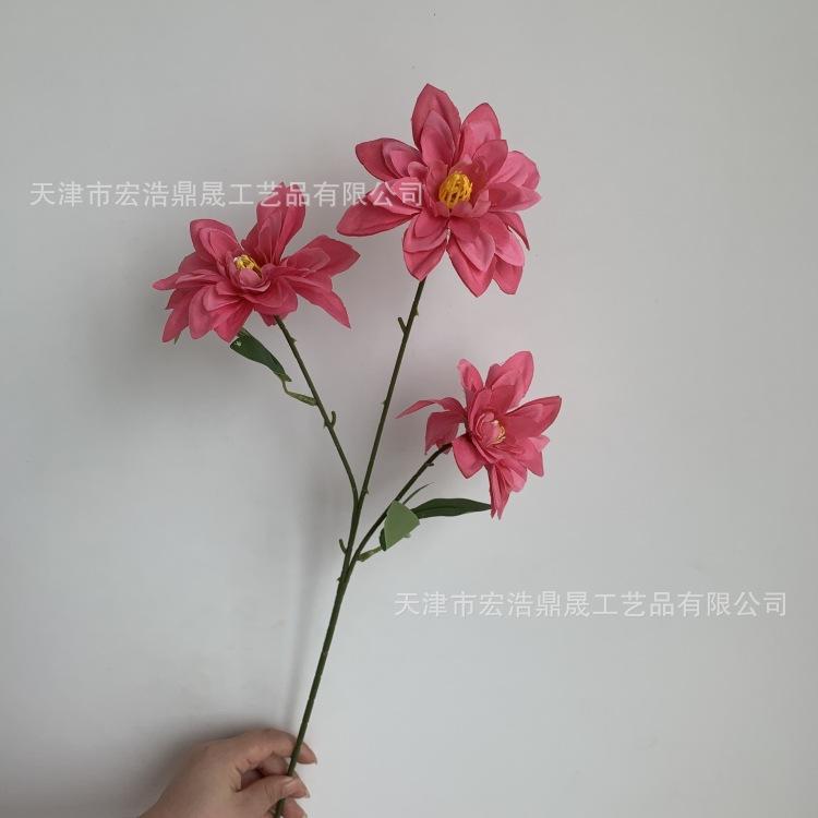 微信图片_20230811172724_副本