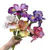 Alta calidad 2 Iris Feel EV Alice Iris Pintura al Óleo Paisaje de Ventana Arreglo de Flores Decoración del Hogar