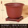 Maceta para Bonsái con Forma de Campana Transfronteriza para Plantas Suculentas y Orquídeas, Maceta de Resina Imitación Arena Púrpura