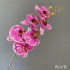 Flor artificial de Phalaenopsis con tacto pegado, flor individual para sala de estar, decoración del hogar, flor de boda, flor falsa para piso, arreglo floral