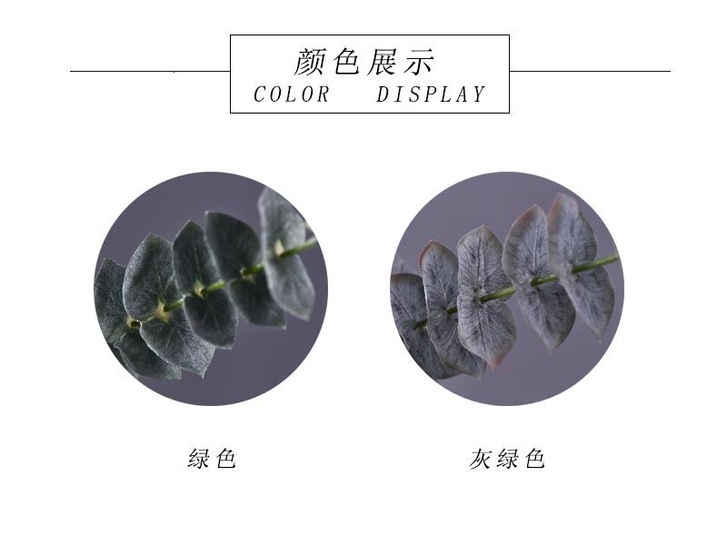 颜色展示.jpg