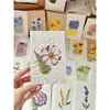 Flores Reais Flor Prensada Cartões de Cumprimentos com Tema Floresta de Flores Prensadas, Cartões de Votos, Cartões, Presentes Florais, Marcadores de Página, Cartões de Visita, Cartões de Convite e Itens Decorativos