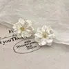 Brincos de Flores Frescas de Primavera Femininos Super Fada Elegantes Explosões Brincos de Pérola 2025 Brincos de Luxo Leve de Alta Qualidade
