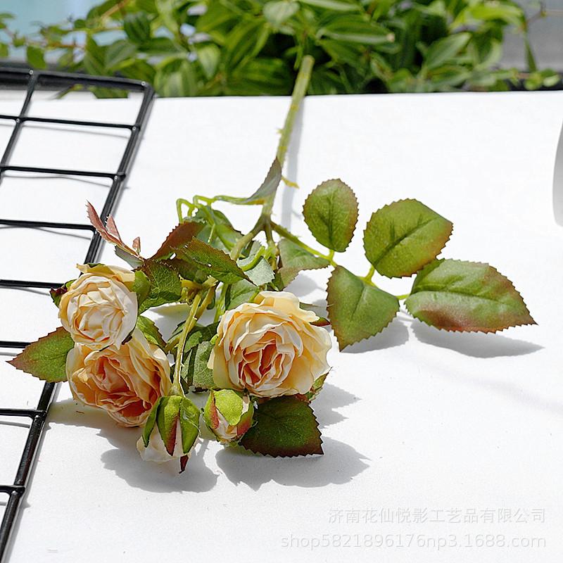 多头复古小蔷薇