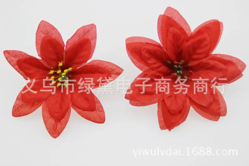 圣诞花