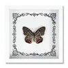 Espécime de Borboleta Real Decoração de Casa DIY Moldura de Madeira para Fotos Suprimentos de Pintura Decorativa Avançada Presente Moderno Presente Criativo