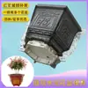 Molde Formato Bonsai Resina Cimento Retangular Bonsai Suculenta Grande Orquídea Hexagonal Molde Pequeno Caseiro