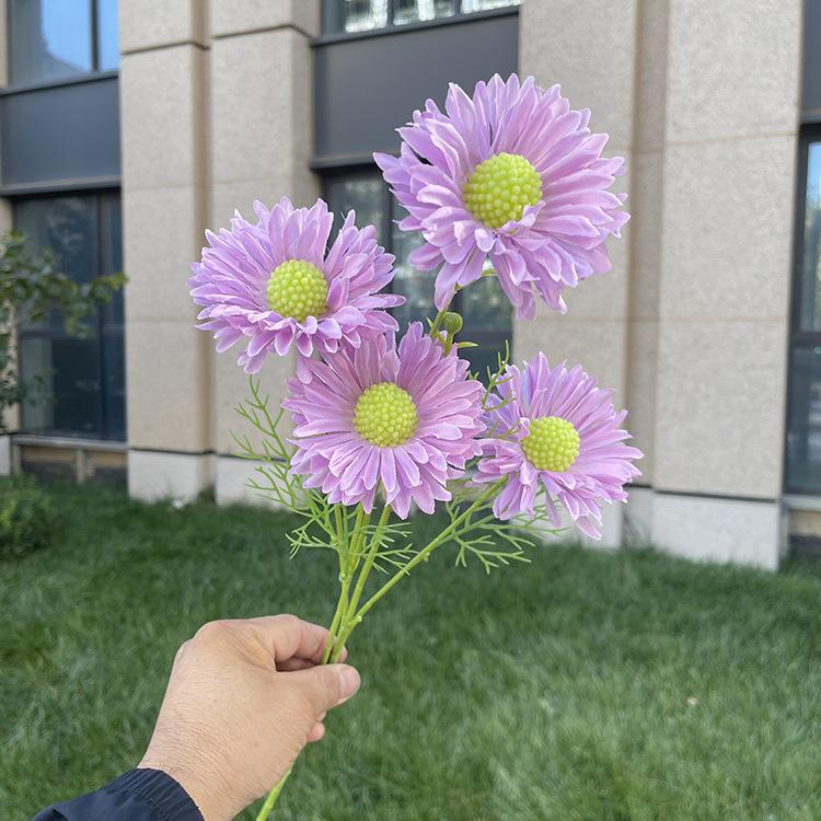 4头单支虫草花-sxwlx-紫色.JPG