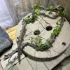 Cipó cipó de árvore morta espumado decoração de casamento tubo ar condicionado paisagismo galhos galhos de salgueiro cipó tiras de cipó