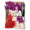 Fabricante de Yunnan Abanico de Flores Secas Eternas Hecho a Mano DIY Kit de Materiales de Flores Prensadas Marco de Fotos Flores Flotantes Día del Maestro Venta al por Mayor