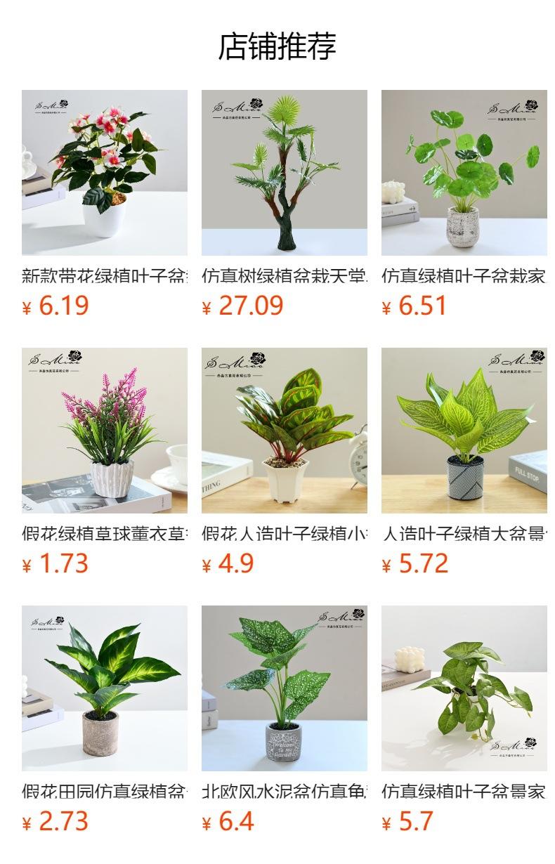 No se puede hacer clic en la vista previa. Después de publicar, puedes hacer clic para ir a la página del producto correspondiente.