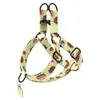 Arnés para Perro con Estampado de Transferencia de Calor en Forma de Y Patrón de Caramelo de Fruta de Dibujos Animados Correa para el Pecho de Mascota Ajustable Antiexplosión Amortiguadora