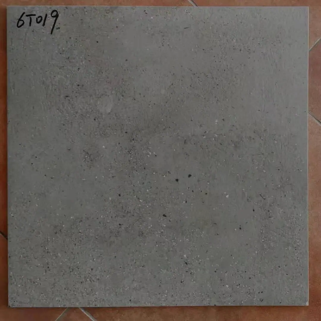 6T019