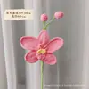 Flor de Phalaenopsis Transfronteriza Regalo de San Valentín Flor Hecha a Mano Flor de Lana Flor Tejida Terminada Venta al por Mayor Flor Tejida Crochet Simulación
