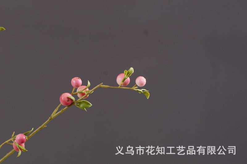 3-6粉色安迪小白果.jpg