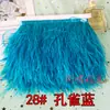 Borlas Decorativas de Pena DIY, Acabamento de Pena de Avestruz, Bainha de Vestido/Saia de Palco, Acessórios de Roupa, Renda, Tiras de Pena