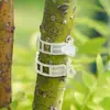 Clips de Fijación para Plantas Verdes y Árboles Frutales, Sujetadores para Enredaderas, Soportes de Varilla para Plantas Trepadoras, Clips Colgantes para Plántulas de Frutas y Verduras de Invernadero