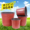 Maceta de Dos Colores Maceta para Plántulas Maceta para Plantas Suculentas Maceta Nutritiva Grande Maceta para Plántulas Maceta de Plástico Desechable Engrosada Maceta Simple para Flores